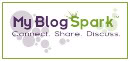 Blog Search