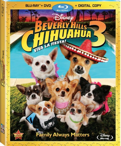 beverlyhillschihuahua3