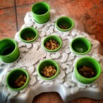 Puzzle Cat Feeder