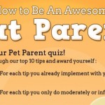 Awesome Cat Parent