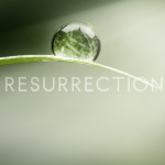 Resurrection_ColorLogo300