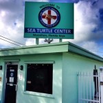 Sea Turtle Center