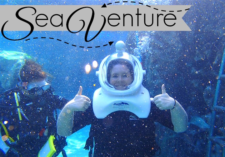 SeaVenture