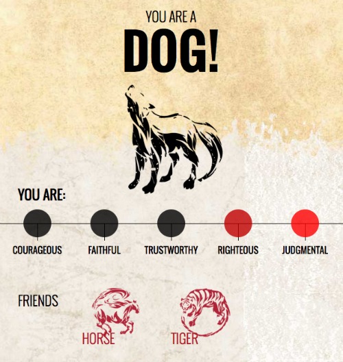 I'm a Dog