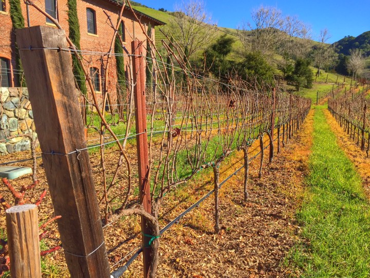 Skywalker Winery