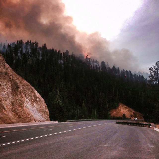 Forest Fire Tahoe
