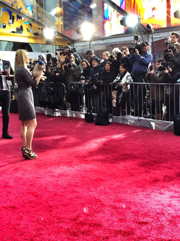 Red Carpet paparazzi